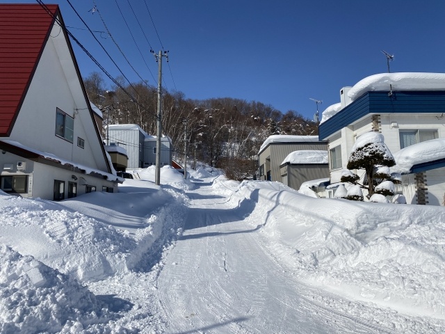 冬の札幌市